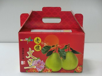 5斤文旦