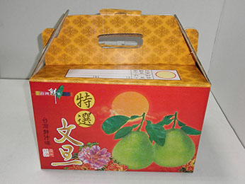 手提(彩)10斤文旦