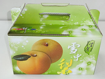2粒雪梨